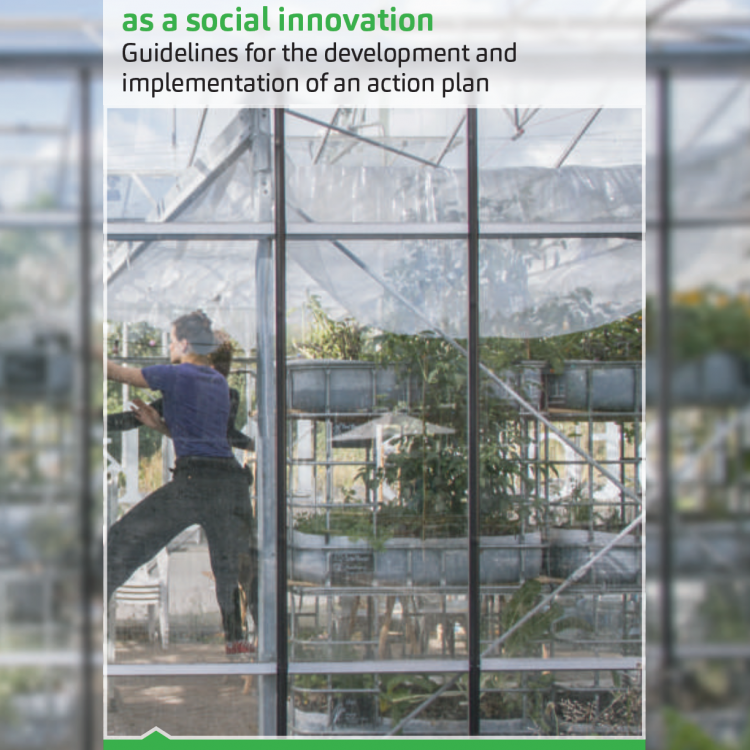 Approaching urban agriculture as a social innovation (publication)